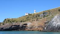 0293 Otago-Halbinsel - Bootsfahrt -