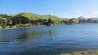 0351 Otago-Halbinsel