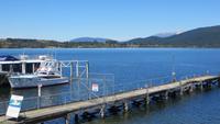 0359 Fahrt zum Milford-Sound - Te Anau - Lake Te Anau