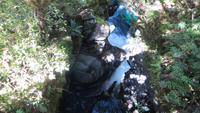 0401 Fahrt zum Milford-Sound - Spaziergang durch die Klamm -