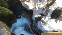 0406 Fahrt zum Milford-Sound - Spaziergang durch die Klamm -