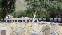 0512 Fahrt nach Queenstown - Stopp in Kingston am Lake Wakatipu - Wir stoßen mit Rotwein an