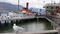 0578 Queenstown - Dampfschiff Eranslaw