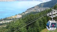 0592 Queenstown - auf dem Peak Bob - Blick über Queenstown und den Lake Wakatipu