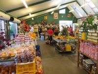 0622 Fahrt zur Westküste - Stopp am Obststand von Ms. Johns