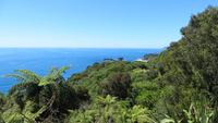 0684 Westküste - Tasmansee -
