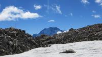 0721 Fox Glacier - Helikopterflug