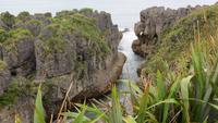 0828 Punakaiki - Pfannkchenfelsen -