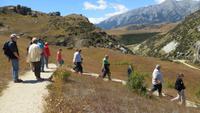 0889 Fahrt nach Christchurch - Spaziergang am Cave Stream