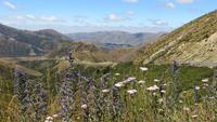 0899 Fahrt nach Christchurch -