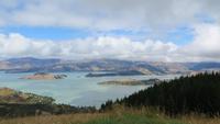 0903 Christchurch - Blick über die Stadt zum Hafen