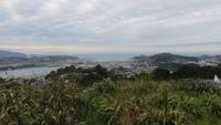 0993 Wellington - Blick von der Viktoria-Aussicht