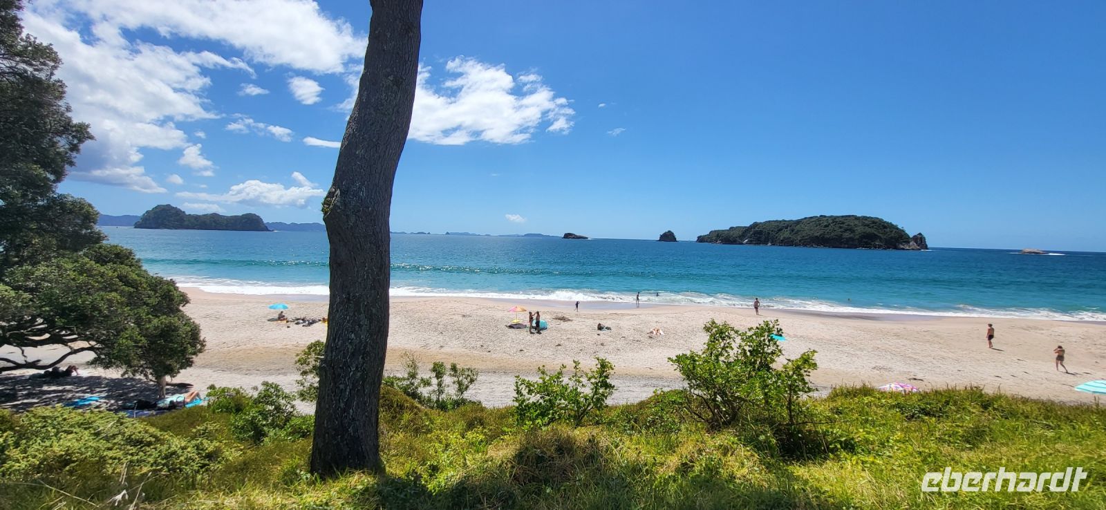 100  Hahei Beach