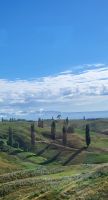 107 Landschaft bei Hobbiton