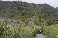 Spaziergang zu den Pfandkuchenfelsen