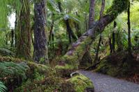 Spaziergang - Ship Creek