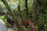 Spaziergang - Ship Creek