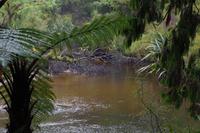 Spaziergang - Ship Creek