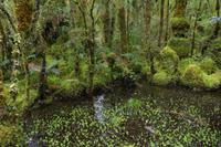 Spaziergang - Ship Creek