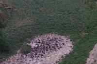 Bootstour - Nistplatz