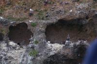 Bootstour - Nistplatz