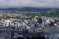Blick auf Wellington