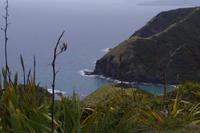 Spaziergang zur Cathredral Cove