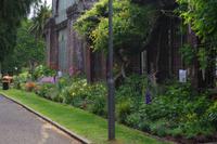 ntergartens von Auckland