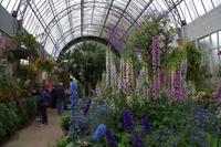 ntergartens von Auckland