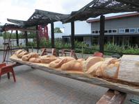 1131 Rotorua - Te Puia - Schnitz-Schule