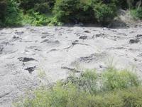 1143 Rotorua - Te Puia - Schlammlöcher