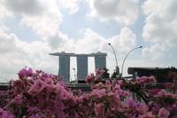 Singapur - Stadtrundgang