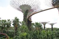 Singapur - Stadtrundgang - Marina Bay Gardens