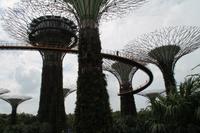 Singapur - Stadtrundgang - Marina Bay Gardens