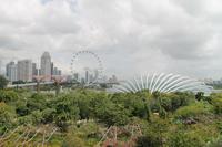Singapur - Stadtrundgang - Marina Bay Gardens