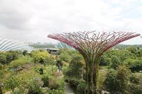 Singapur - Stadtrundgang - Marina Bay Gardens