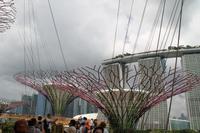 Singapur - Stadtrundgang - Marina Bay Gardens