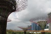 Singapur - Stadtrundgang - Marina Bay Gardens