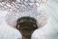 Singapur - Stadtrundgang - Marina Bay Gardens