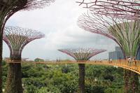 Singapur - Stadtrundgang - Marina Bay Gardens