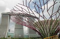 Singapur - Stadtrundgang - Marina Bay Gardens