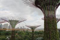 Singapur - Stadtrundgang - Marina Bay Gardens