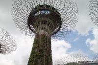 Singapur - Stadtrundgang - Marina Bay Gardens