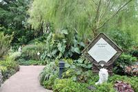 Singapur - Stadtrundfahrt - Botanischer Garten
