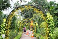 Singapur - Stadtrundfahrt - Botanischer Garten