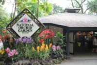 Singapur - Stadtrundfahrt - Botanischer Garten