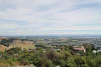 Christchurch - Stadtrundfahrt