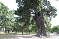 Christchurch - Stadtrundfahrt