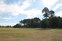 Christchurch - Stadtrundfahrt