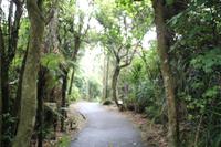 Westküste - Pfannkuchenfelsen